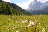 Val Gardena, Dolomites, Italy
