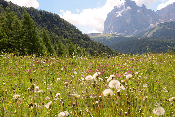 Val Gardena, Dolomites, Italy