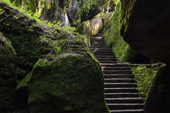 La Verna Sanctuary, Italy