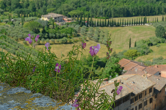 San Gimignano, Tuscany, Italy