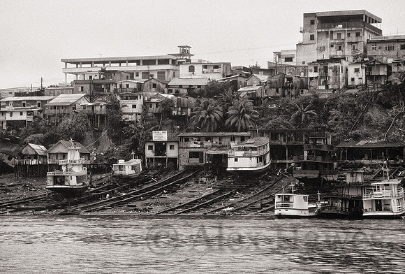 Riverbanks of the Rio Negro, Manaus, Brazil