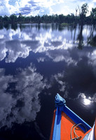 Riverboat, flooded forest of the Rio Negro, Amazon Rainforest, Brazil