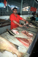 Manaus fish market, Brazil