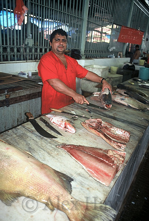 Manaus fish market, Brazil