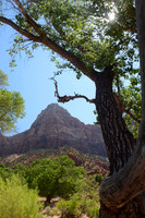 Zion Canyon, Zion National Park, Utah
