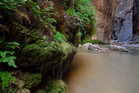The Narrows, Zion National Park, Utah