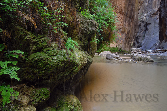 The Narrows, Zion National Park, Utah