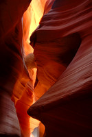 Trapped tumbleweed, Upper Antelope Canyon near Page, Arizona