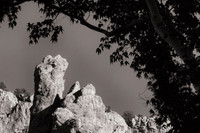 Cave Creek, Chiricahua Mountains, southeastern Arizona