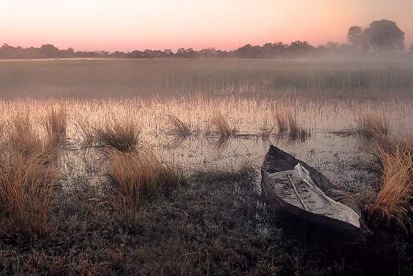 Makoro dugout canoe, Okavango Delta, Botswana