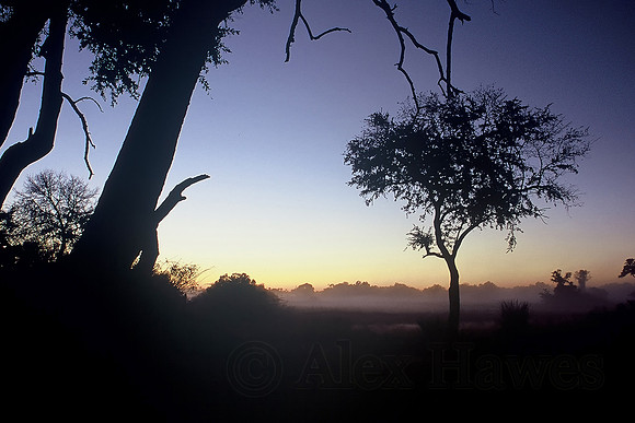 Okavango Delta, Botswana