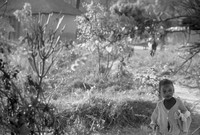 Girl in village near Kasempa, Zambia