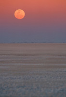 Moonrise, Makgadikgadi salt pan, Kalahari Desert, Botswana