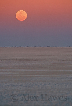 Moonrise, Makgadikgadi salt pan, Kalahari Desert, Botswana