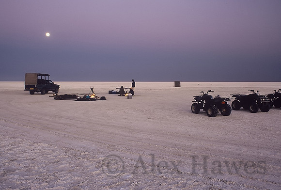 Makgadikgadi salt pan, Kalahari Desert, Botswana