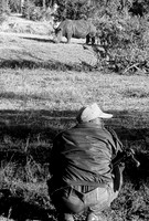 Bodyguard for two rhinos in Mosi-ao-Tunya National Park, Zambia