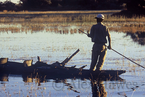 Guide paddling makoro, Okavango Delta, Botswana