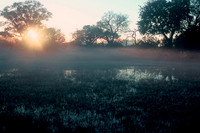 Morning mist, Okavango Delta, Botswana