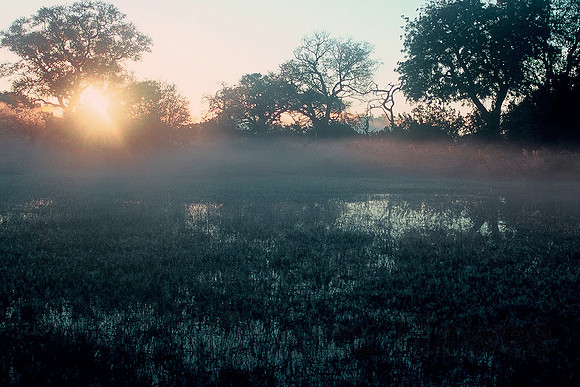 Morning mist, Okavango Delta, Botswana