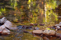 Cave Creek, Chiricahua Mountains, southeastern Arizona