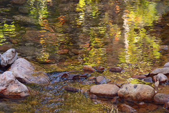 Cave Creek, Chiricahua Mountains, southeastern Arizona