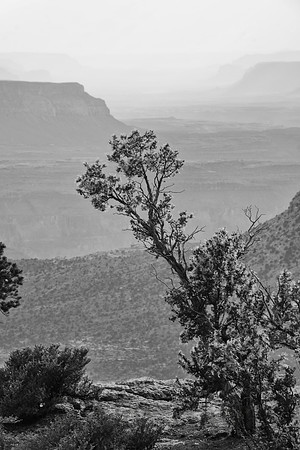 North Rim, Grand Canyon National Park, Arizona
