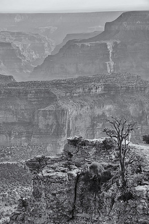 North Rim, Grand Canyon National Park, Arizona
