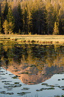 Lily Lake, Mirror Lake Scenic Byway, Uinta Mountains, Utah