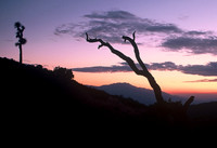 Joshua Tree National Park, California