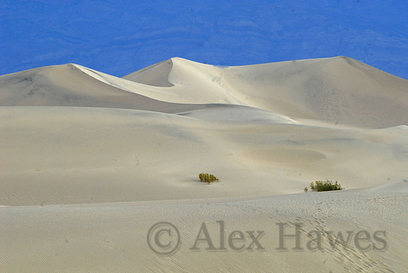 Death Valley National Park, California