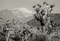 Deserts of California