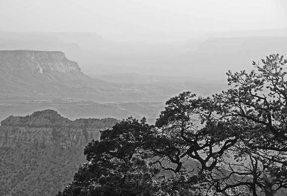 North Rim, Grand Canyon National Park, Arizona