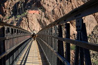Mule train crossing Black (Kaibab) Suspension Bridge, Colorado River, Grand Canyon