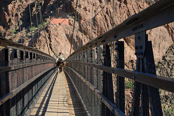 Mule train crossing Black (Kaibab) Suspension Bridge, Colorado River, Grand Canyon