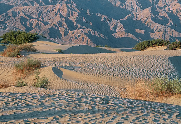 Mesquite Flat Dunes, Death Valley National Park, California