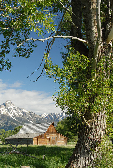 Moulton Barn, Antelope Flats, Grand Teton National Park, Wyoming