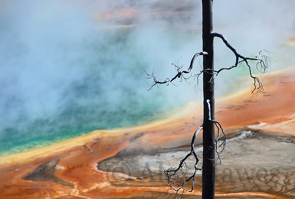 Grand Prismatic Pool, Yellowstone National Park, Wyoming