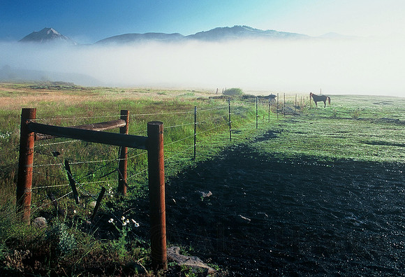 Horse ranch at dawn, Crested Butte, Colorado