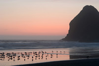 Samuel H. Boardman State Scenic Corridor near Brookings, Oregon