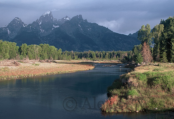 Snake River near Schwabachers Landing, Grand Teton National Park, Wyoming