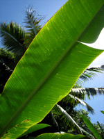 Kauai, Hawaii