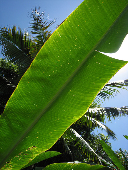 Kauai, Hawaii