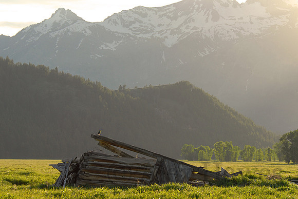 Collapsed barn, Antelope Flats, Grand Teton National Park, Wyoming