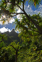 Kalalau Trail, Na Pali Coast, Kauai, Hawaii
