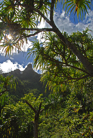 Kalalau Trail, Na Pali Coast, Kauai, Hawaii
