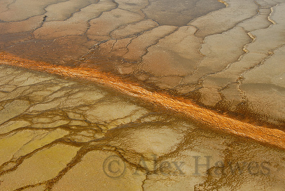 Midway Geyser Basin, Yellowstone National Park, Wyoming