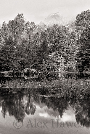 Beaver pond near Schwabachers Lodge, Grand Teton National Park, Wyoming