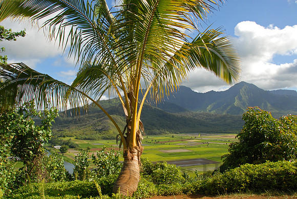 Hanalei, Kauai island, Hawaii