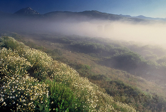 Dawn mist, Crested Butte, Colorado