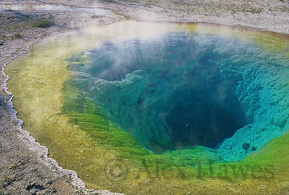 Morning Glory Pool, Yellowstone National Park, Wyoming